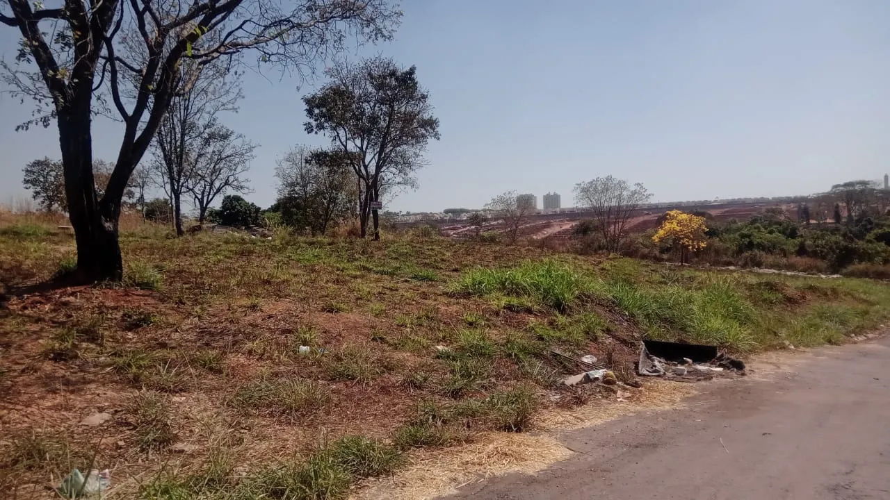 Lote 250,75m² (Asfalto, Agua e Esgoto) Papillon Park