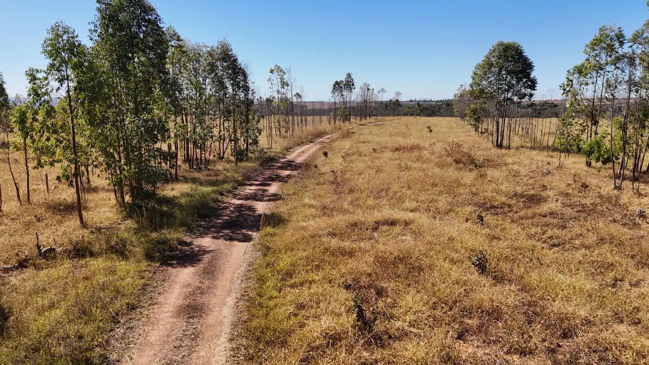Fazenda em Abadiânia-go - Foto 2
