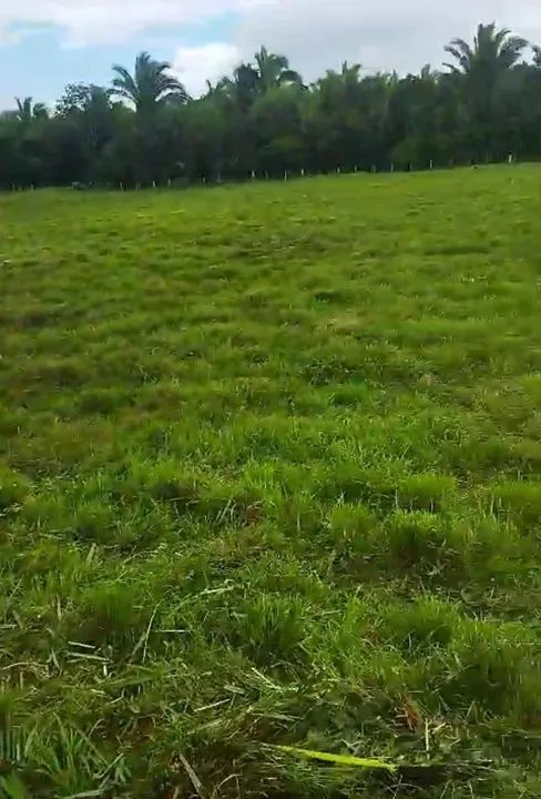 Fazenda à venda porteira fechada, Estado Maranhão, São Luís MA