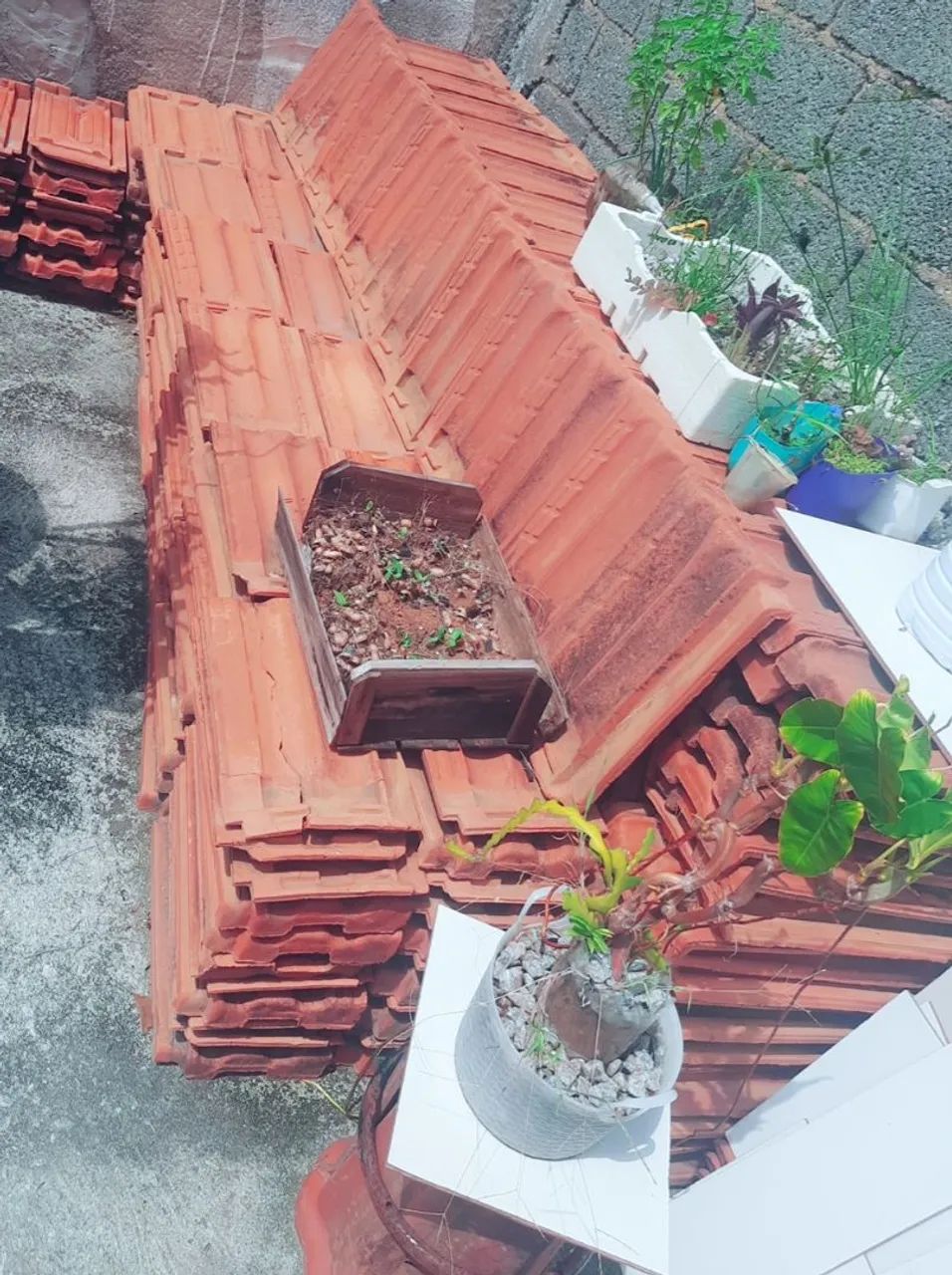 Telhas francesas bem conservadas