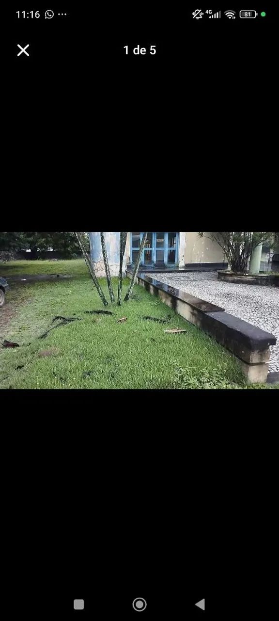 Limpeza de terrenos  - Foto 5