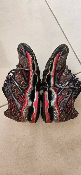 Mizuno prophecy 1 relíquia
