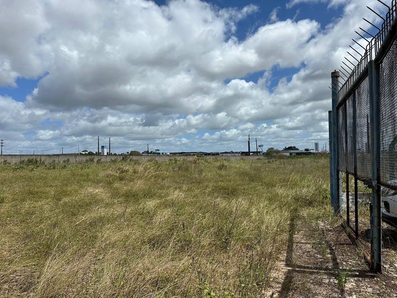 Terreno de 60.000 m2 nas margens da Br 304