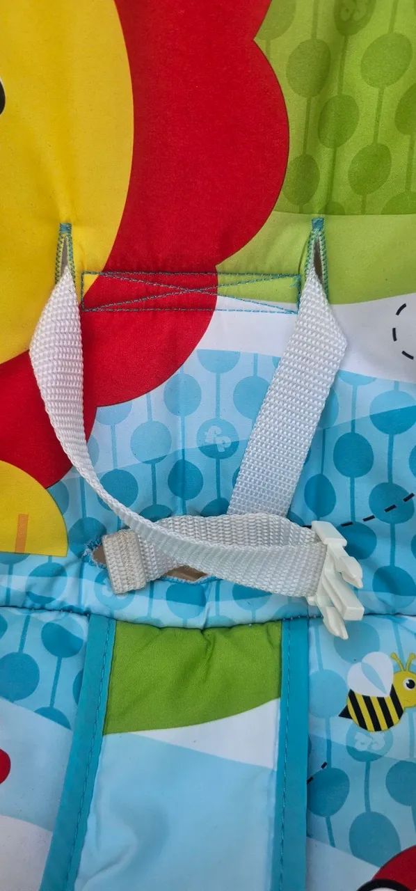 Cadeirinha de Bebê Fisher-Price - Foto 2
