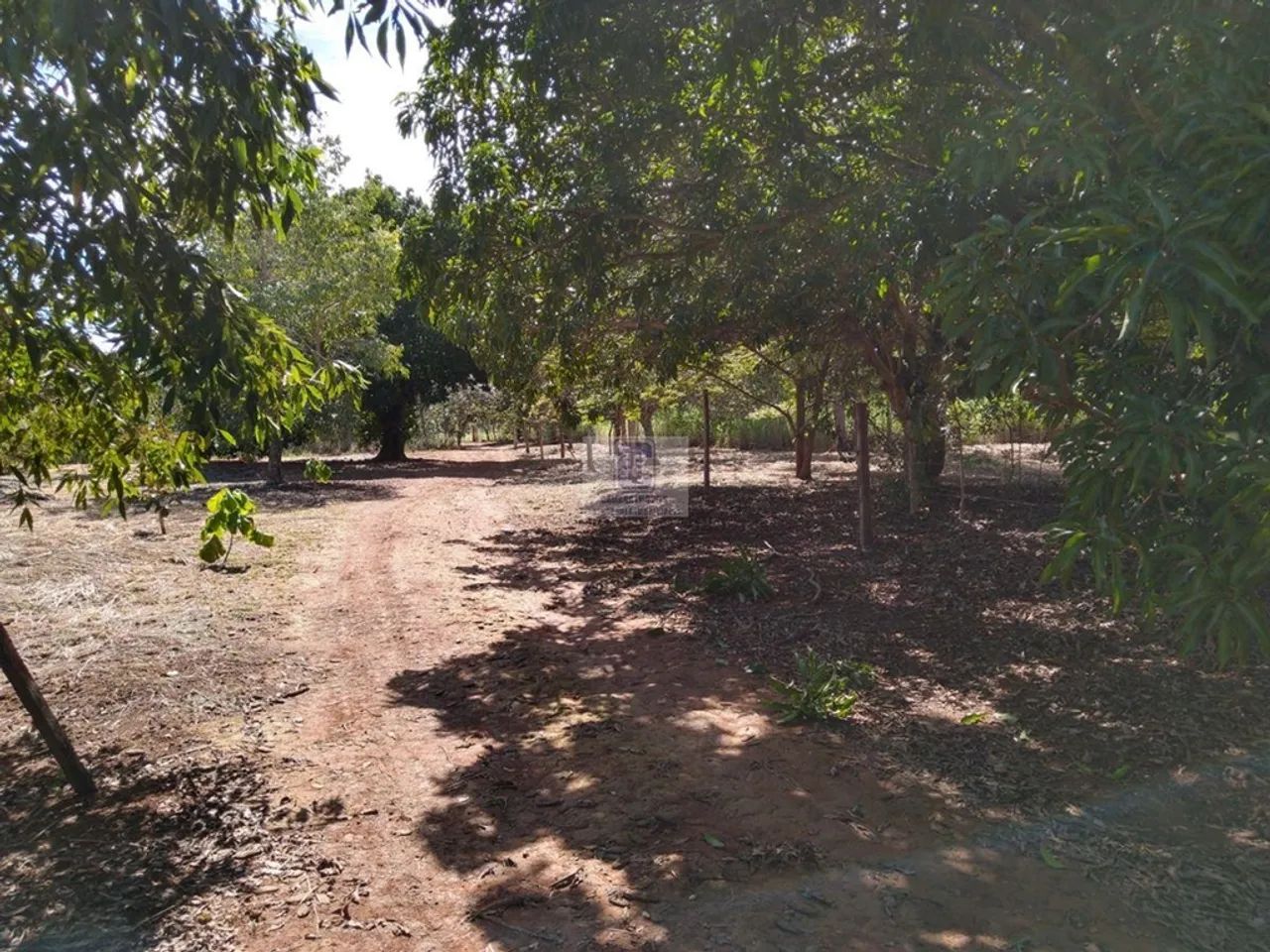 Chácara - Paranoá DF TERRENO ESCRITURADO E REGISTRADO NO 2° OFÍCIO - Foto 4