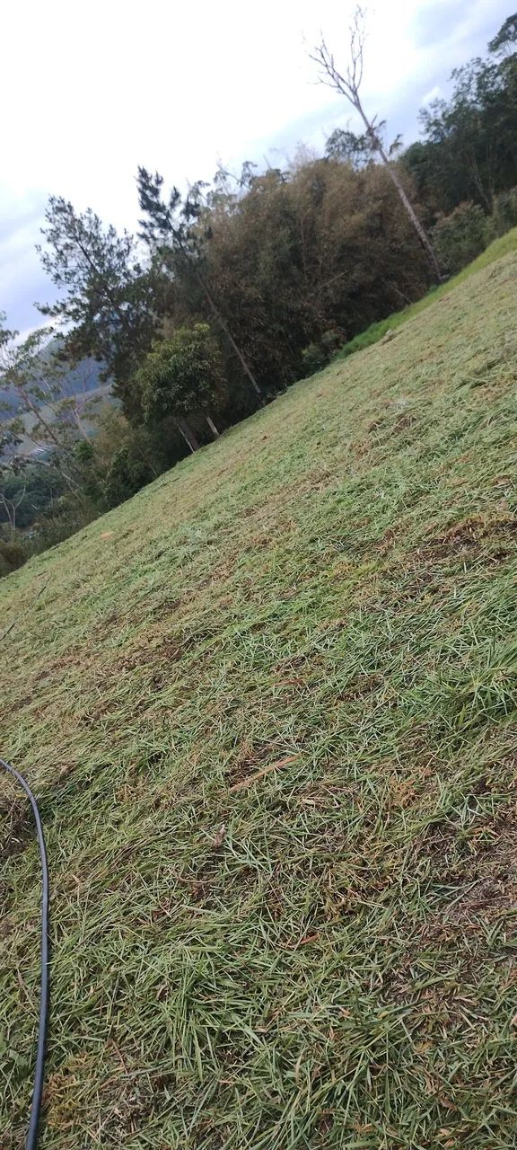 Foto - São José dos Campos - Jardim Paraíso do Sol