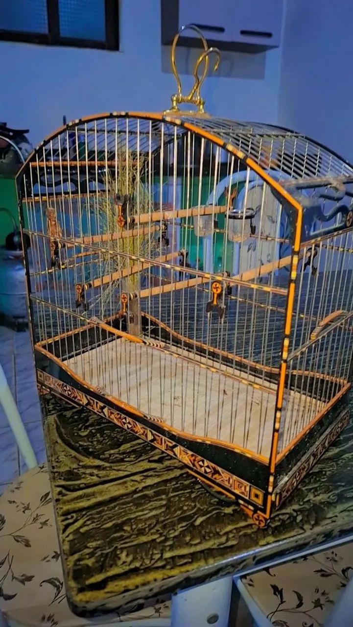 Gaiola semi nova - Foto 2