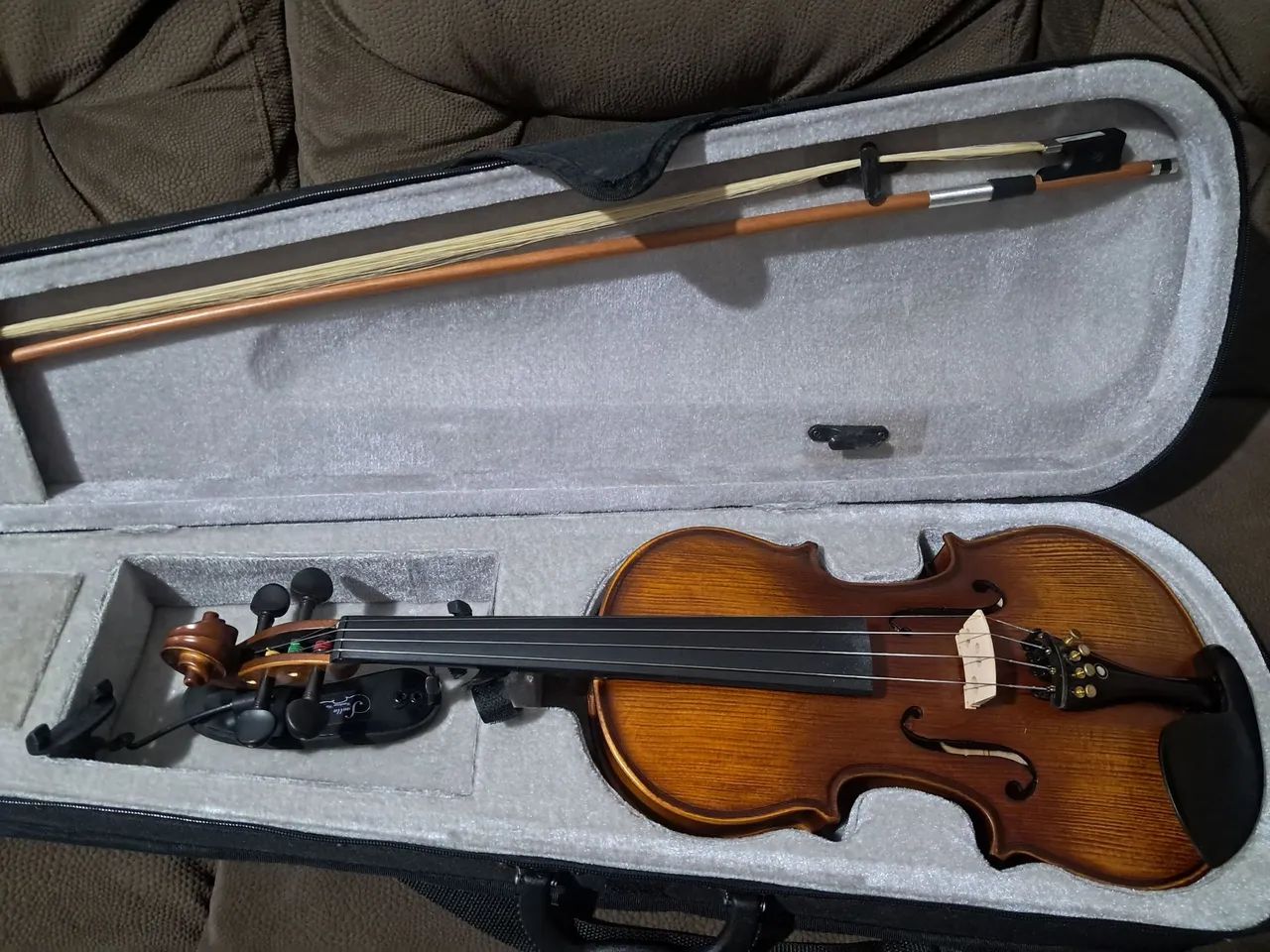 Violino