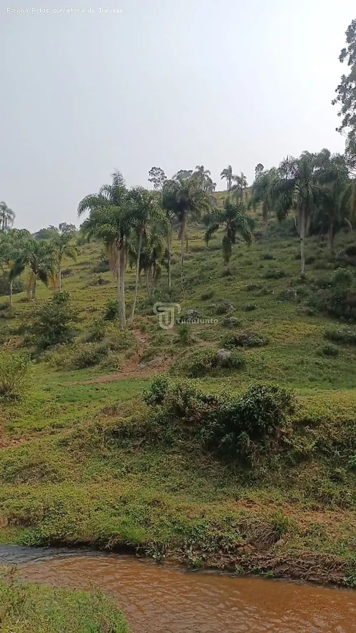 Terreno para Venda em Garopaba, Penha - Foto 5