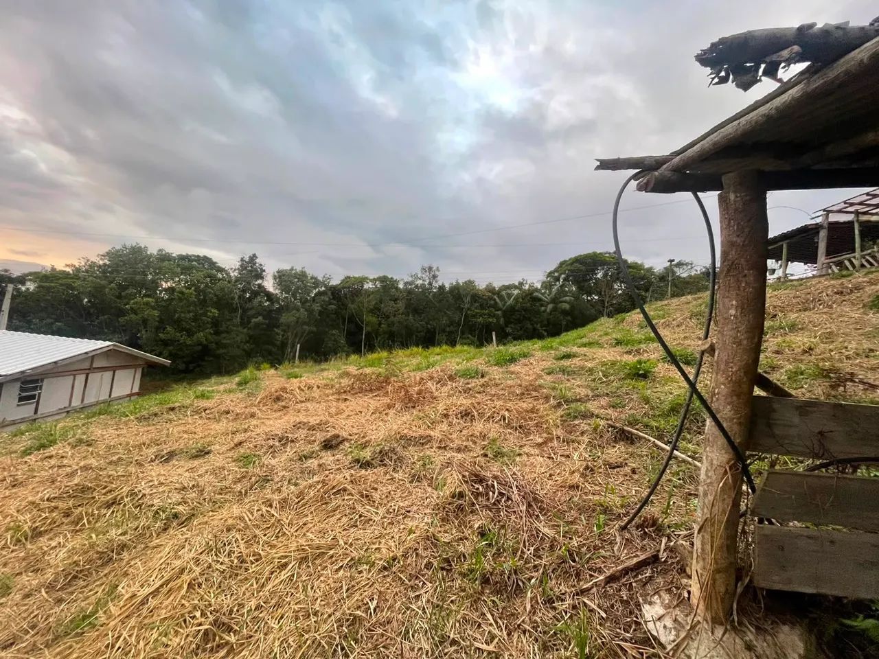 Terreno em são Pedro de Alcântara  - Foto 3