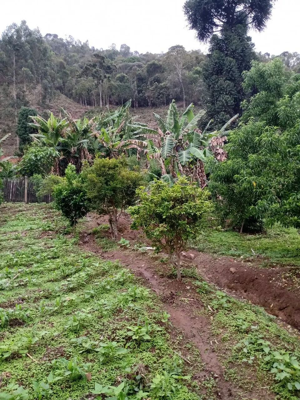 Linda  casa - Foto 5