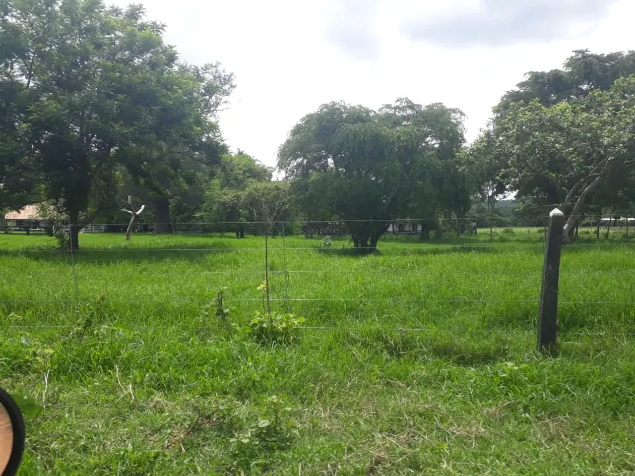 Fazendinhas Com Lagoa, Excelente Tipografia e Terra Cultivo Perto de Sete Lagoas. - Foto 2