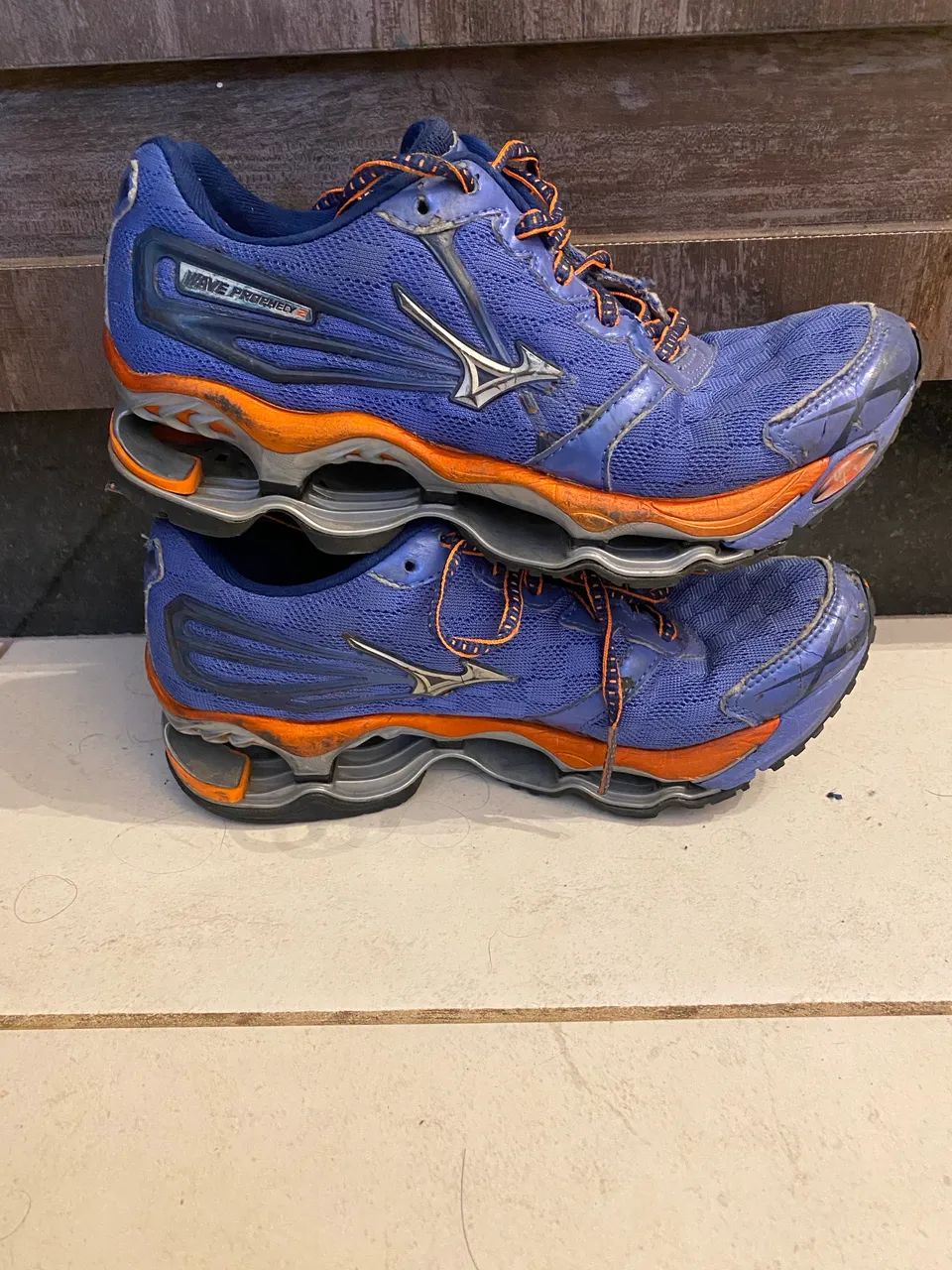 Mizuno prophecy 2