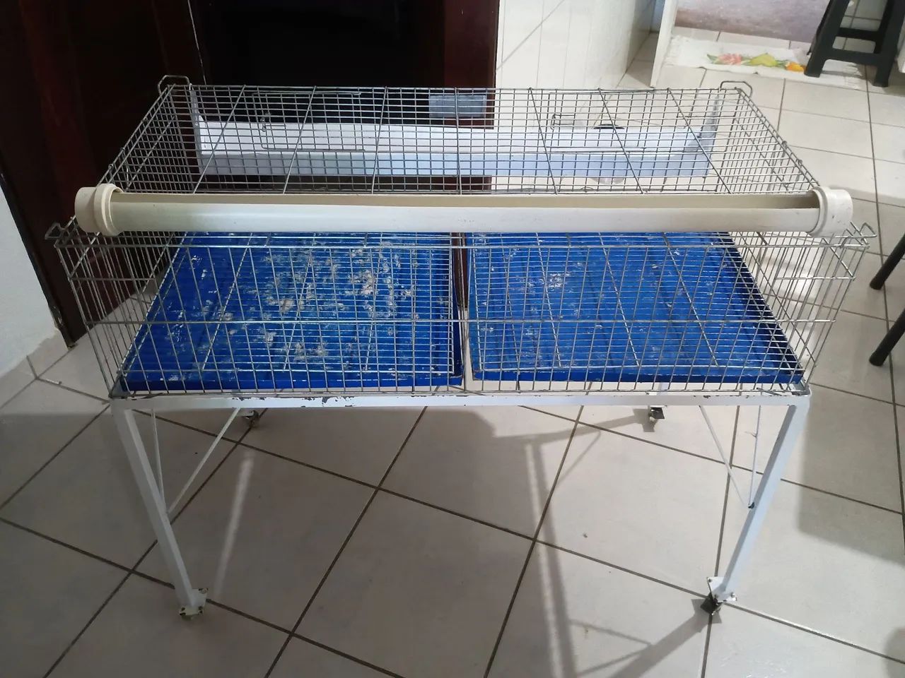 Viveiro para pintinhos