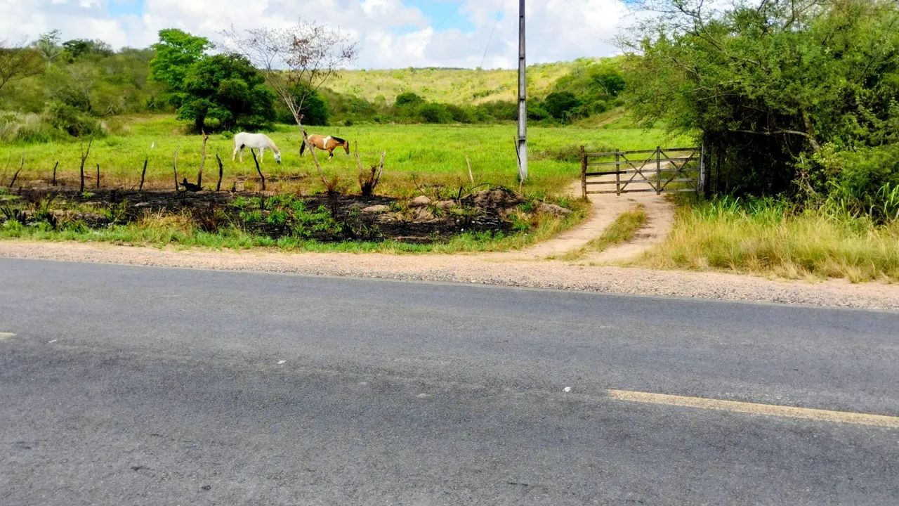 Terreno com 32 tarefas 