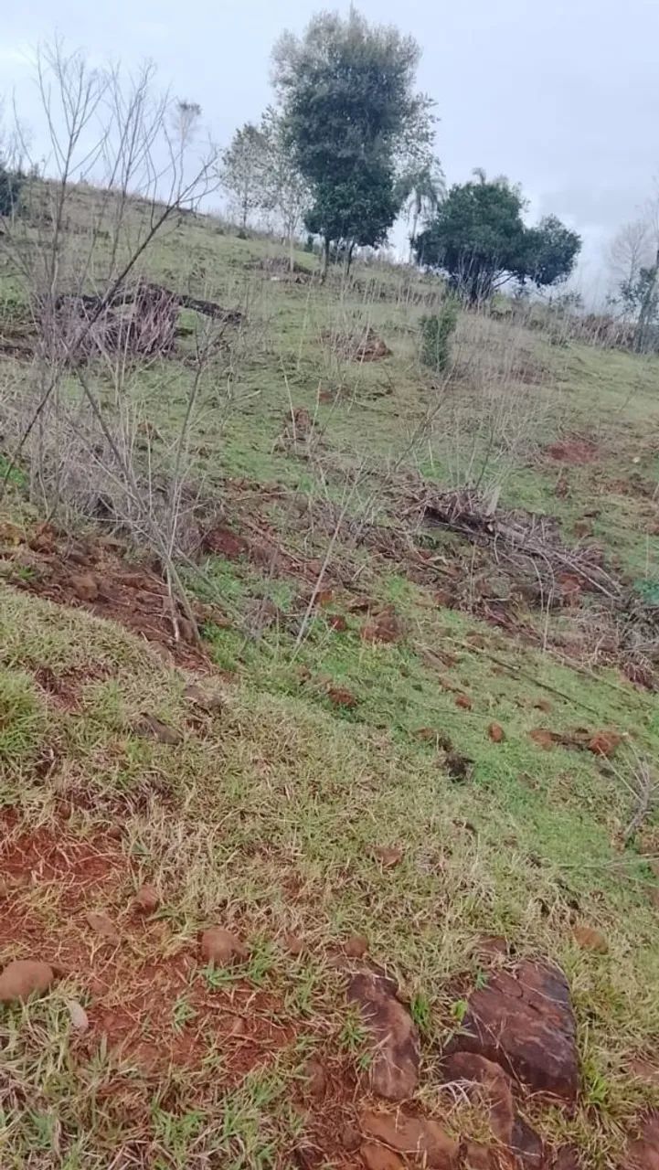 Terra a venda - Foto 2