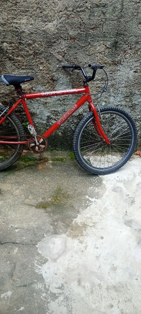 Bicicleta pro dia dia 