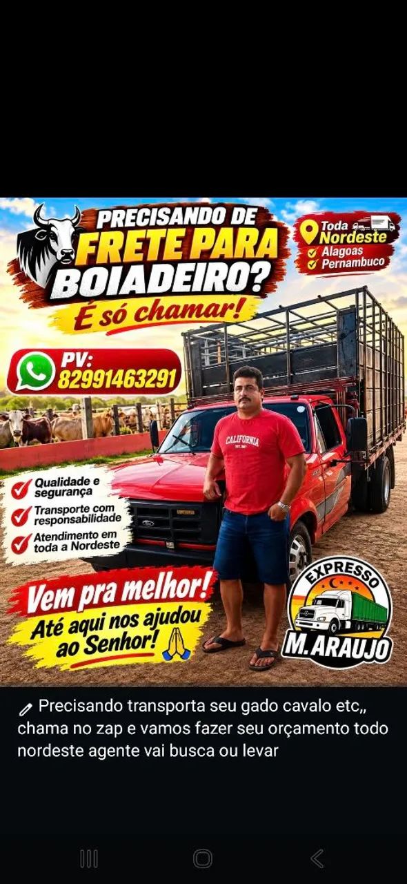 Frete caminhão boiadeiro melhor preço da região 