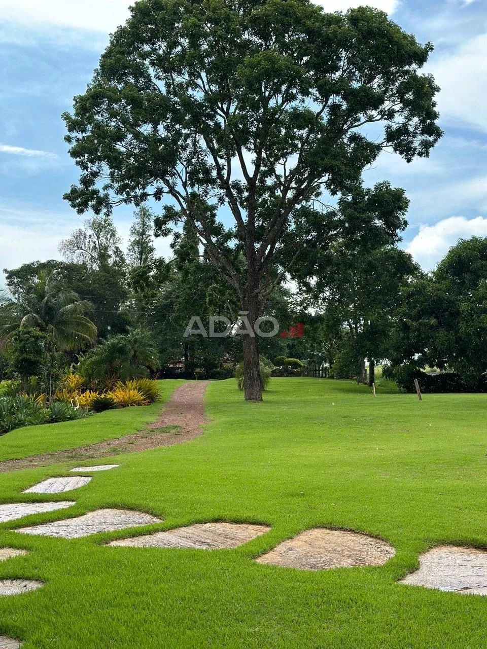 Ágio chácara nas margens da go020 a 20 minutos flamboyant - Foto 12