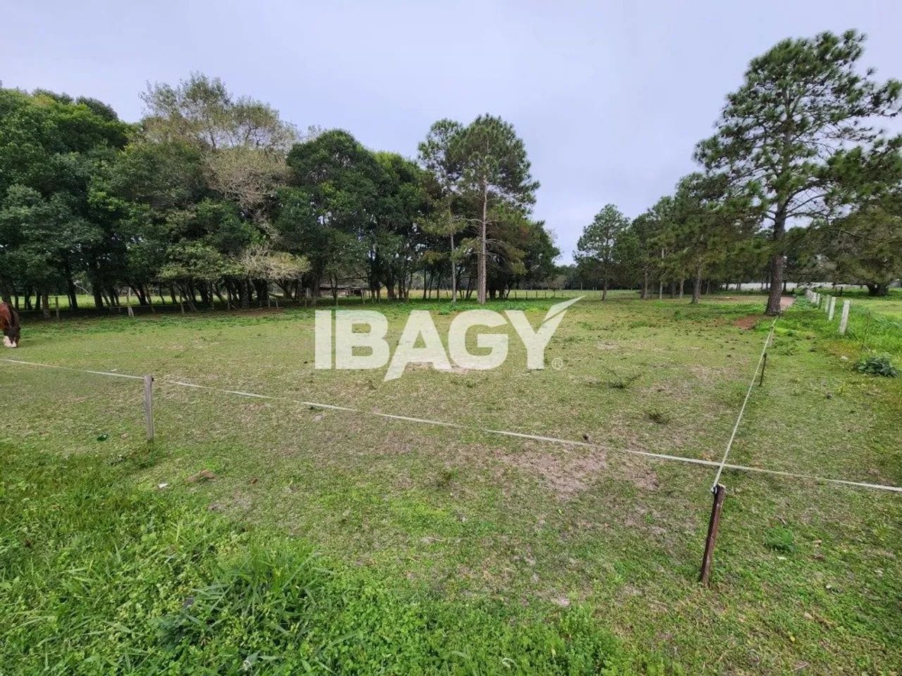 Oportunidade! Terreno em Canasvieiras - Florianópolis