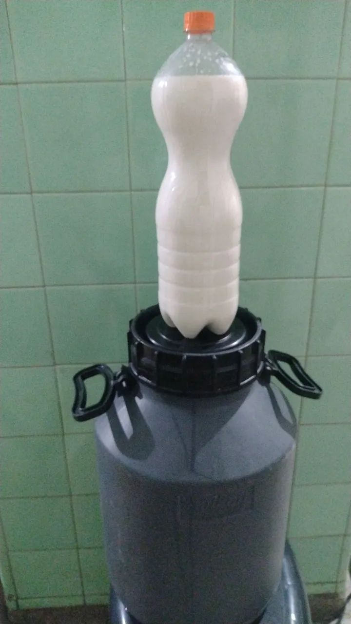 Leite de cabra e de vaca