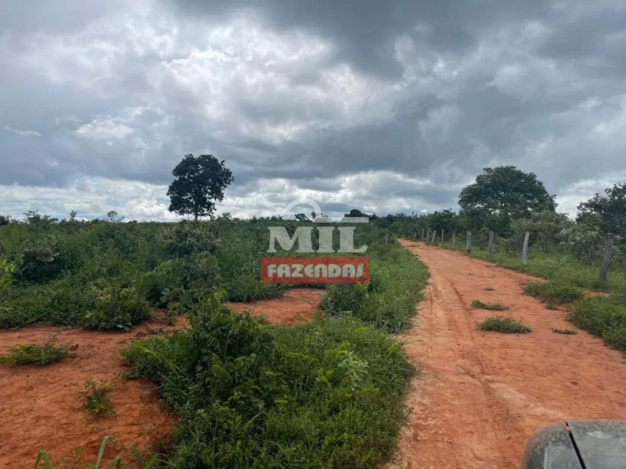 Fazenda Dupla Aptidão em Uruaçu-GO. (44 Alqueires) - Foto 4