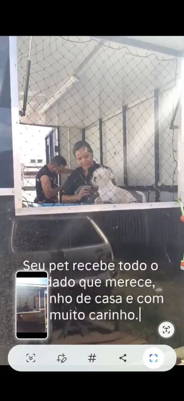 Banho e tosa em domicilio  - Foto 5