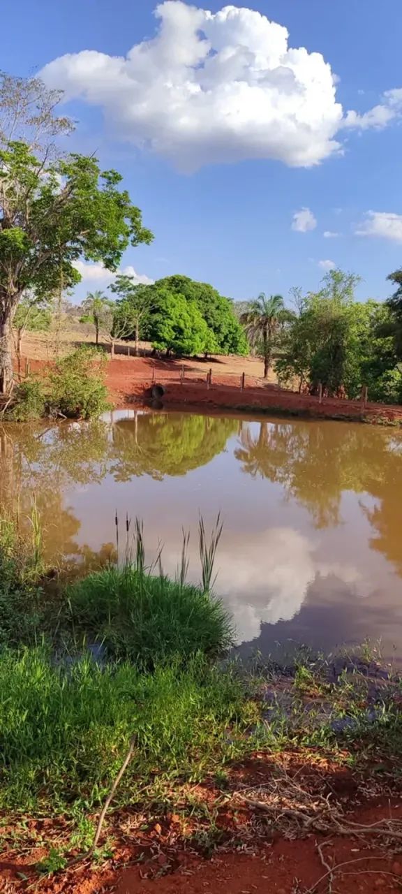 chacara em Inhumas - Foto 5