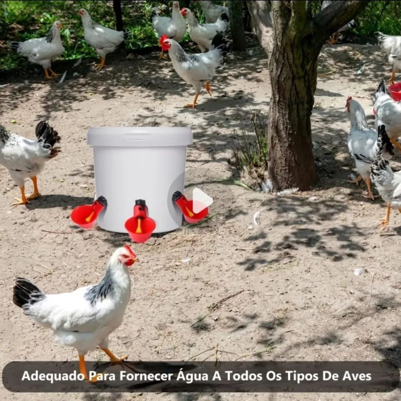 Vendo bebedouro para galinhas  - Foto 4