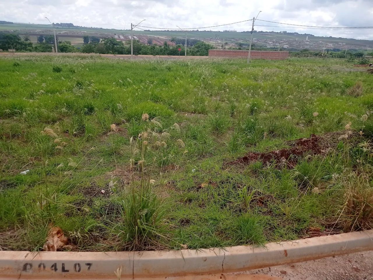 Foto - Ribeirão Preto - Sumarezinho