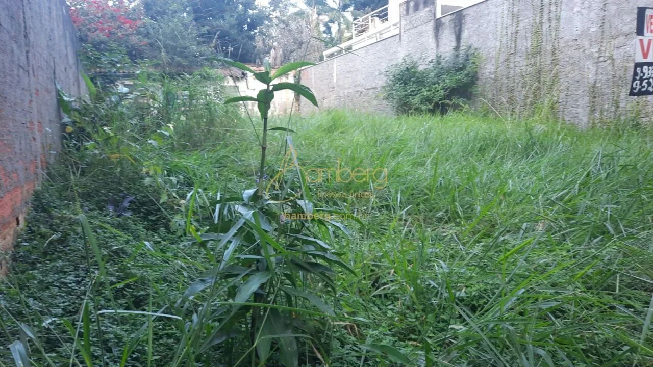 Terreno alto da Boa Vista - Foto 4