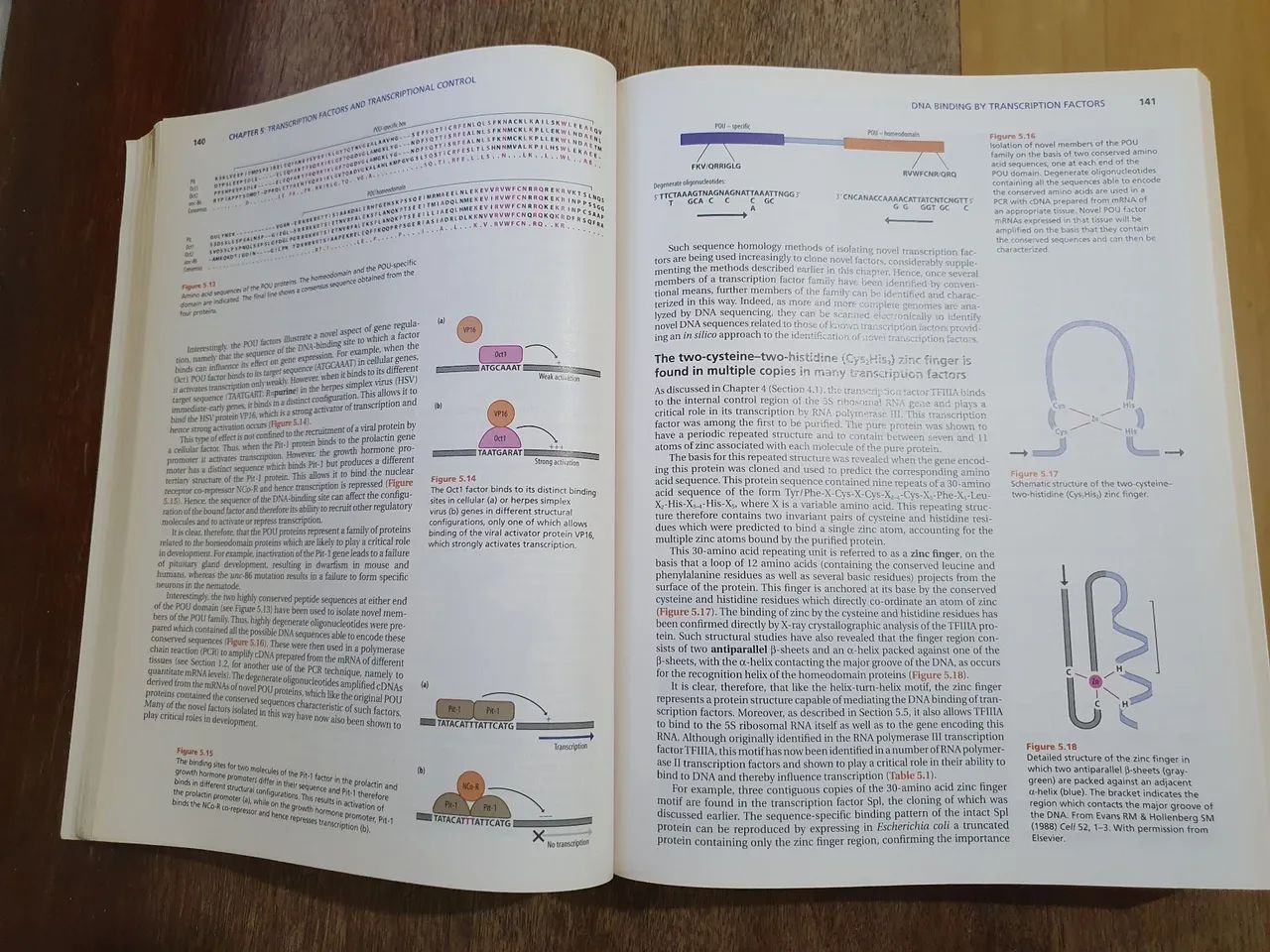 Gene Control - David S. Latchman (Inglês) - Foto 4