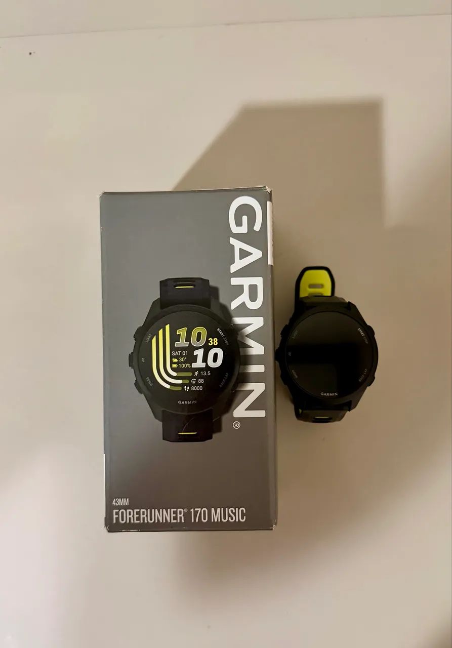 Garmin 170 music 