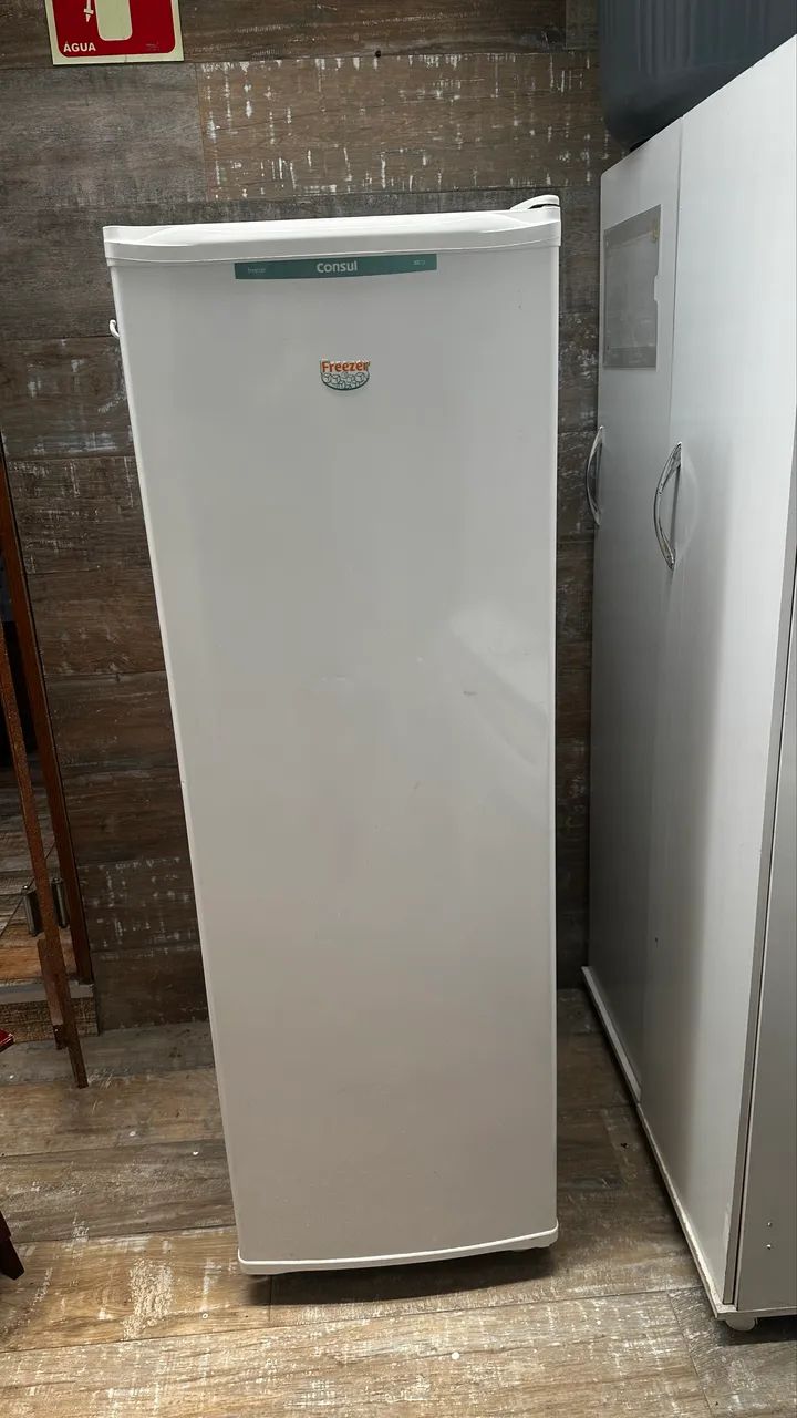 Freezer cônsul 