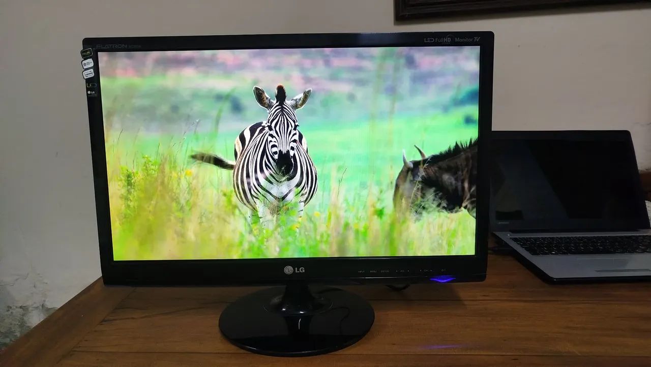 Monitor tv LG 23 polegadas Full HD LED 
