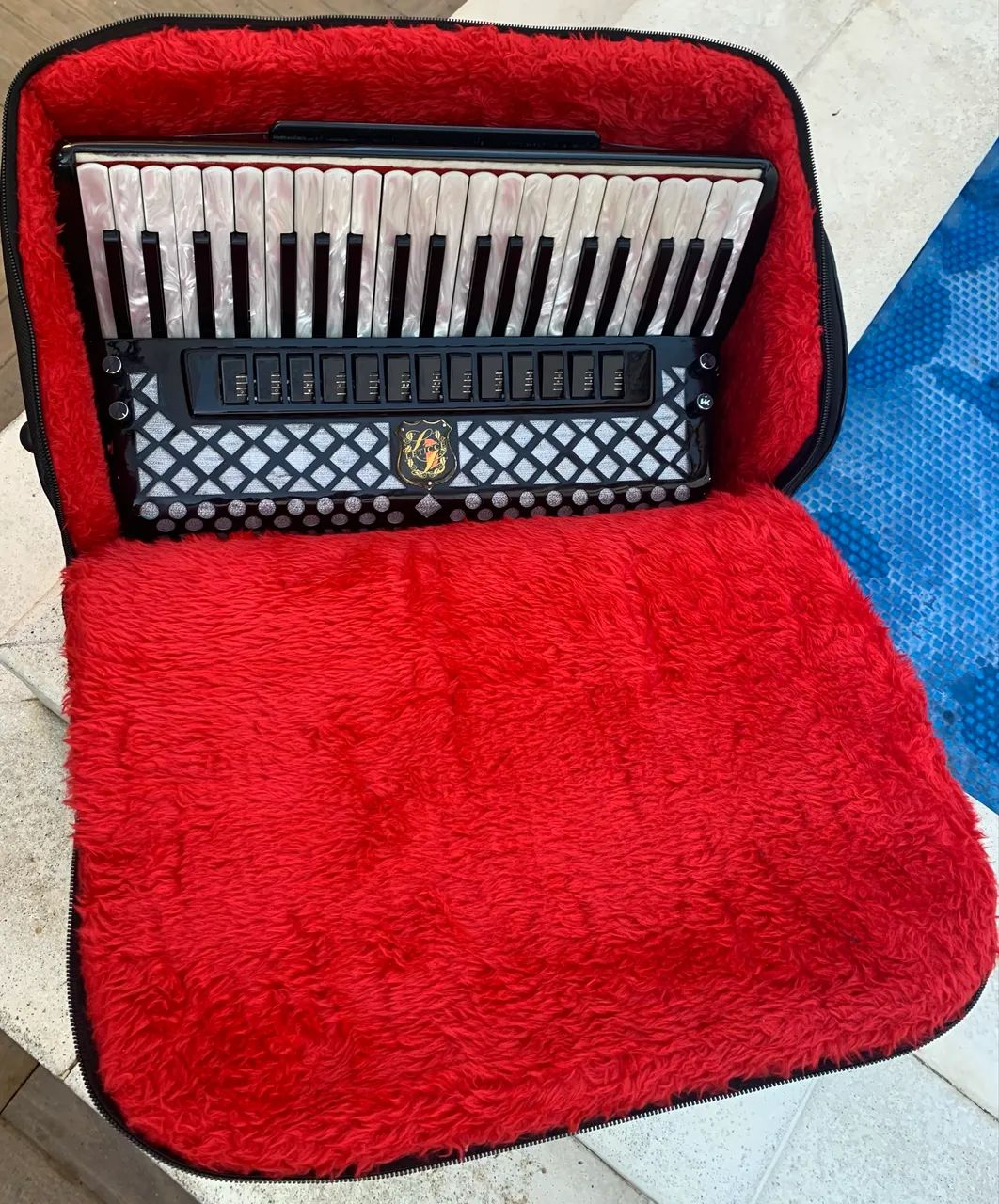 Bag para acordeon / sanfona  - Foto 3