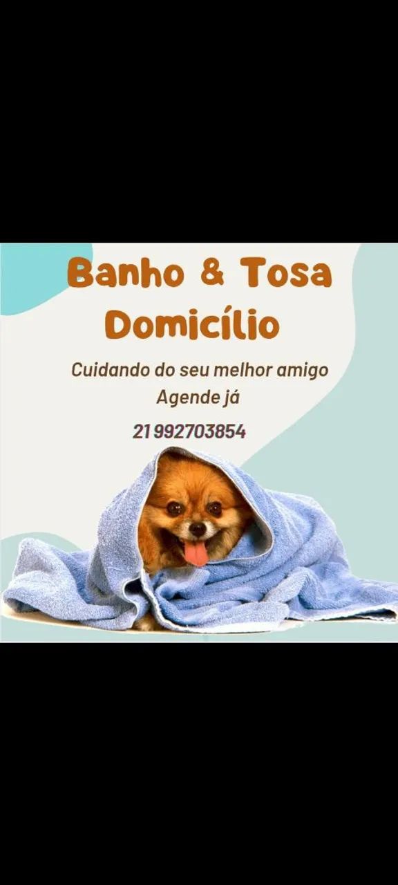 Banho e tosa domicílio 
