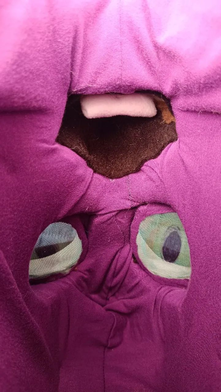 Fursuit nova - Foto 5