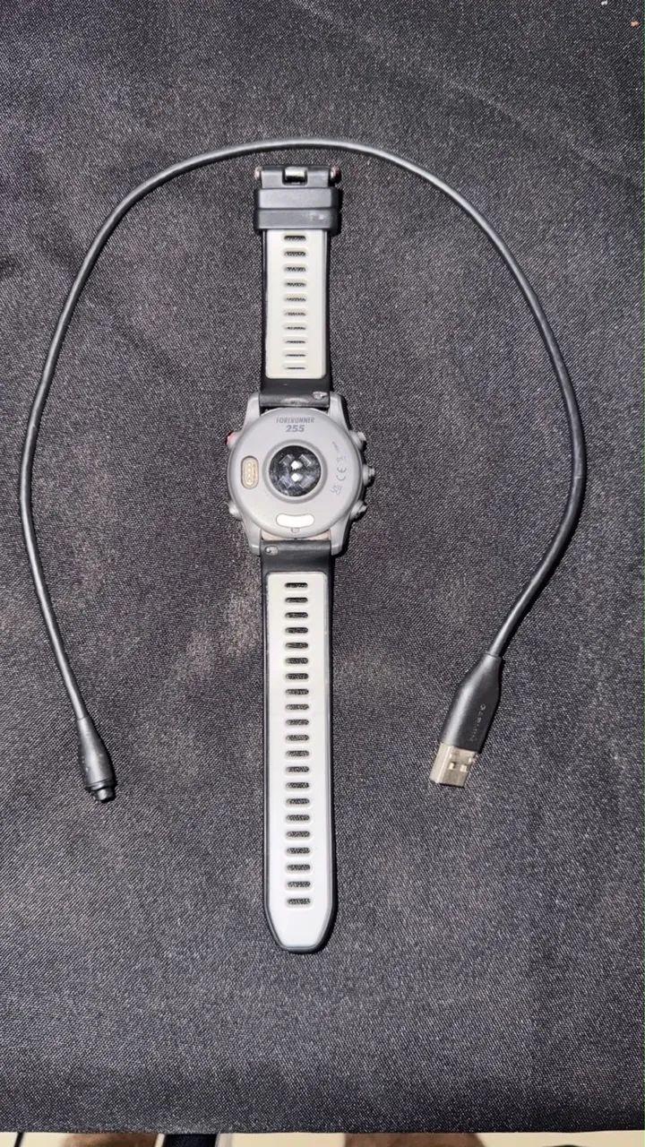 Garmin Forerunner 255 - Foto 2