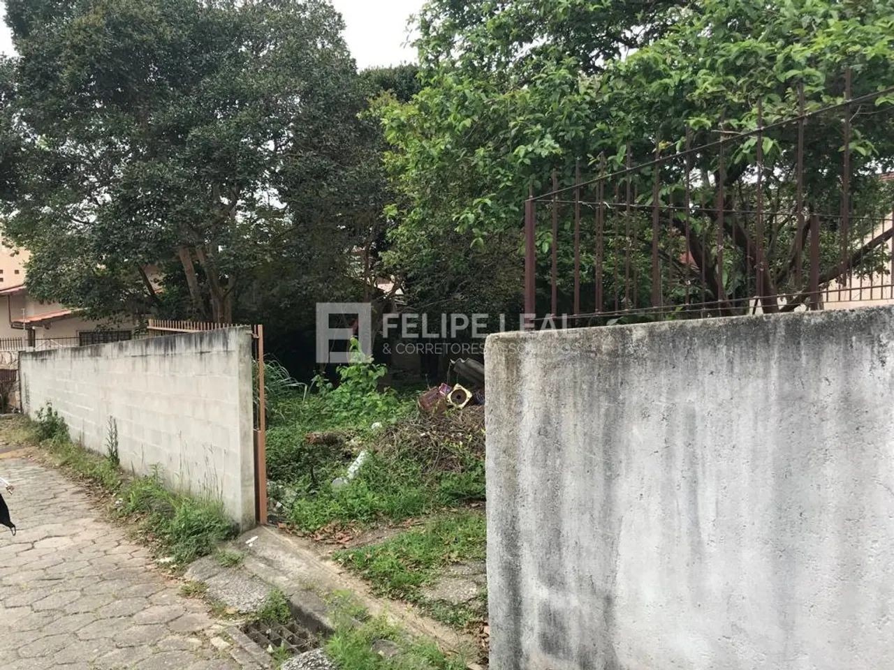 Lote / Terreno em Santa Mônica - Florianópolis, SC - Foto 3