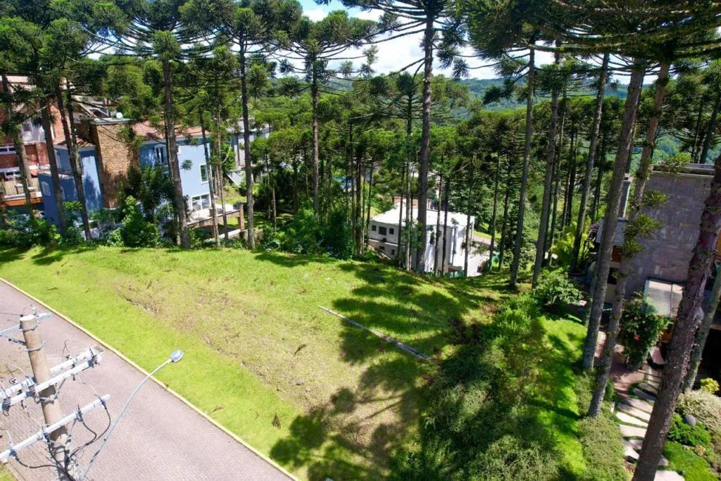 Terreno - Bairro Aspen Mountain - Foto 3