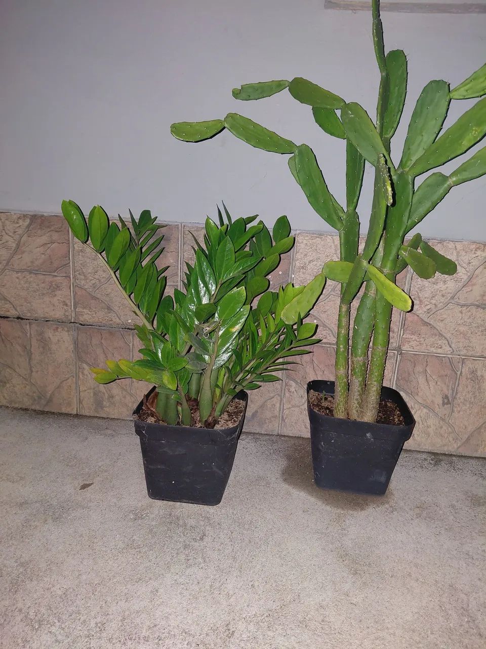 Vende-se  - Foto 2
