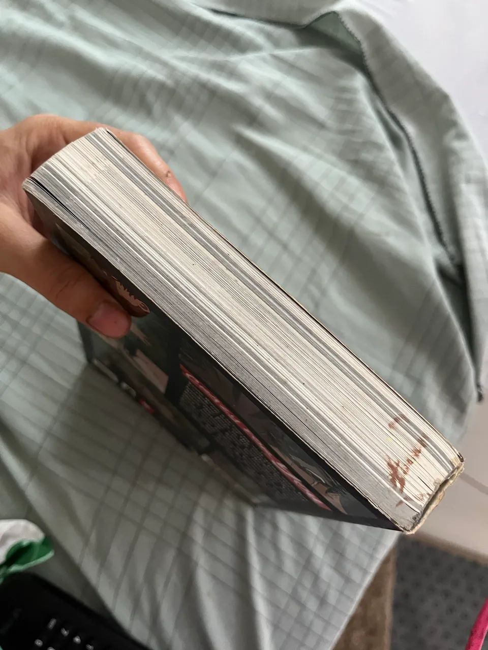 Mangá  - Foto 3