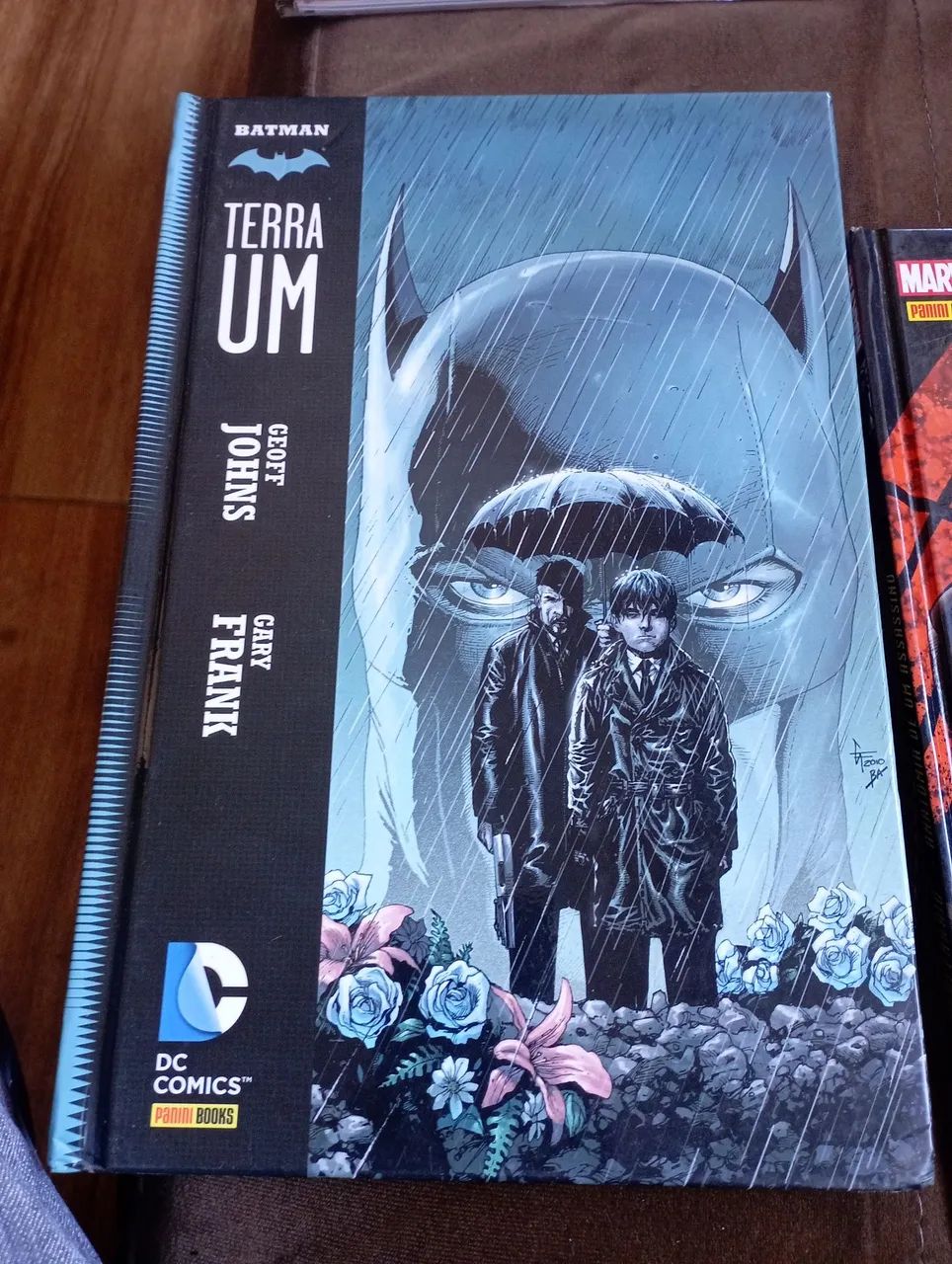 Capa dura terra UM  - Foto 2
