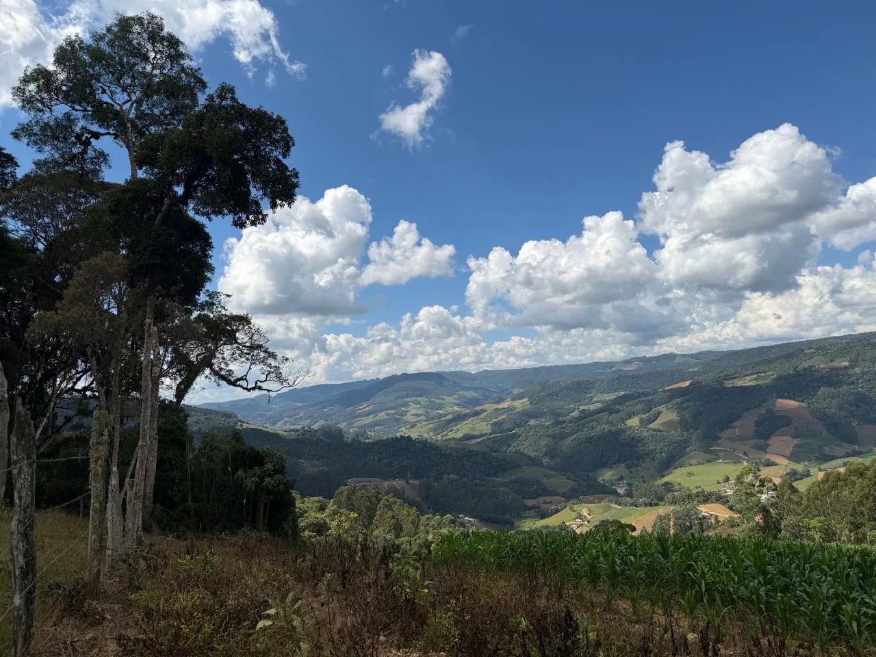 OPORTUNIDADE EXCLUSIVA EM LEOBERTO LEAL/SC - Foto 5