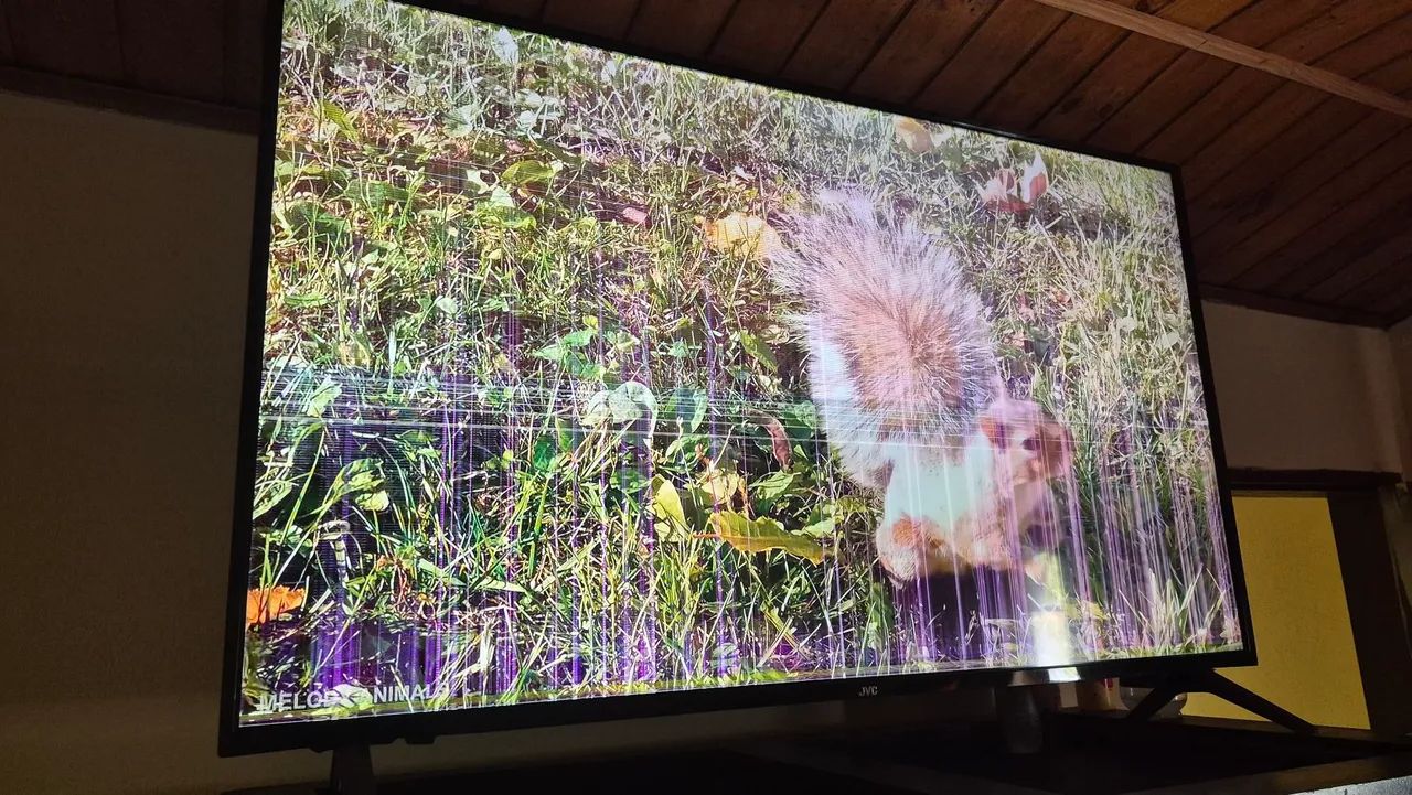 TV 50" JVC
