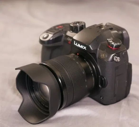 Camera Lumix GH5s