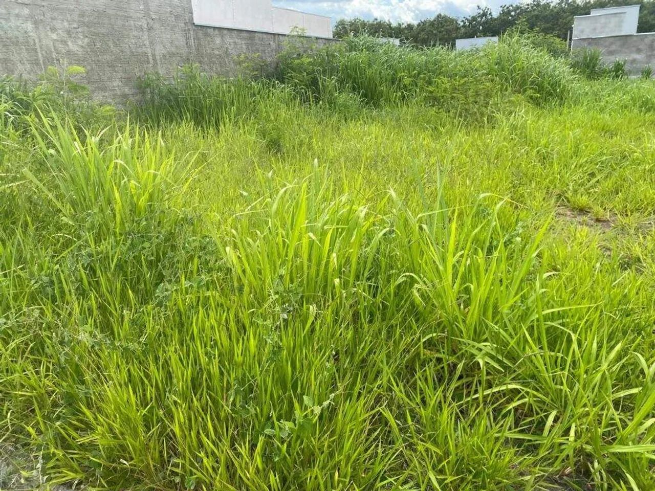 Terreno à venda, Campestre - Piracicaba/SP - Foto 4
