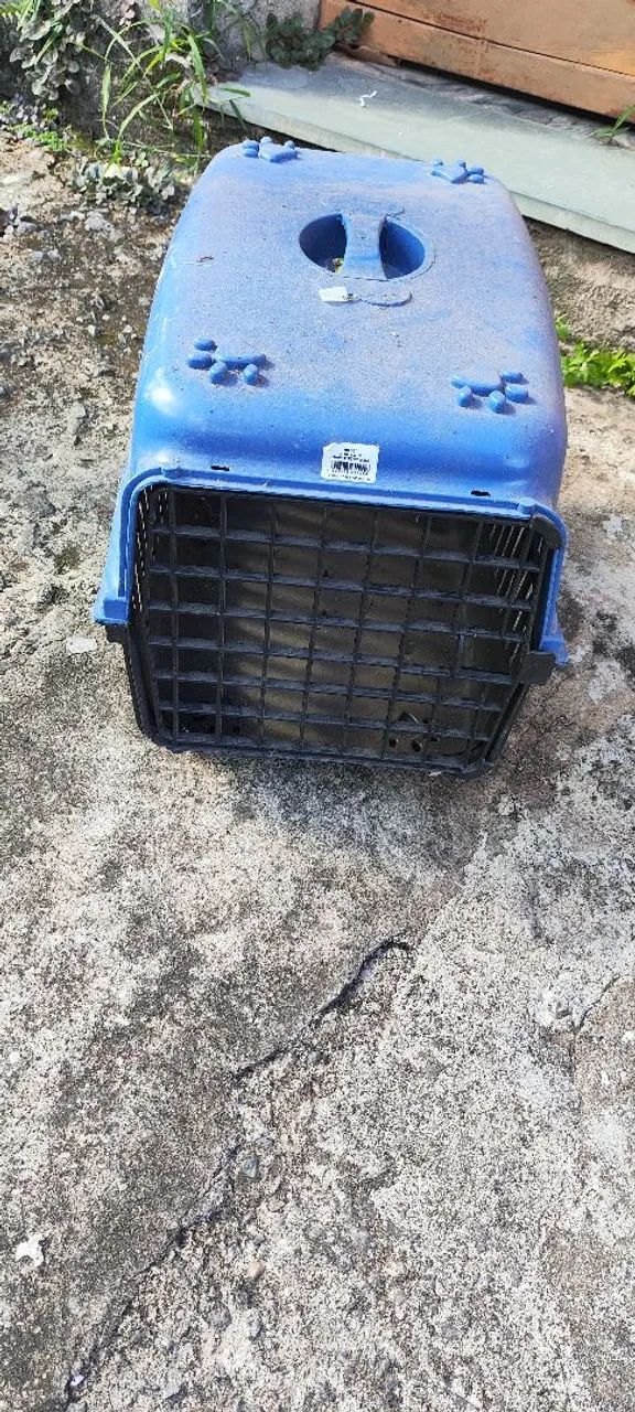 Caixa transportadora de pet