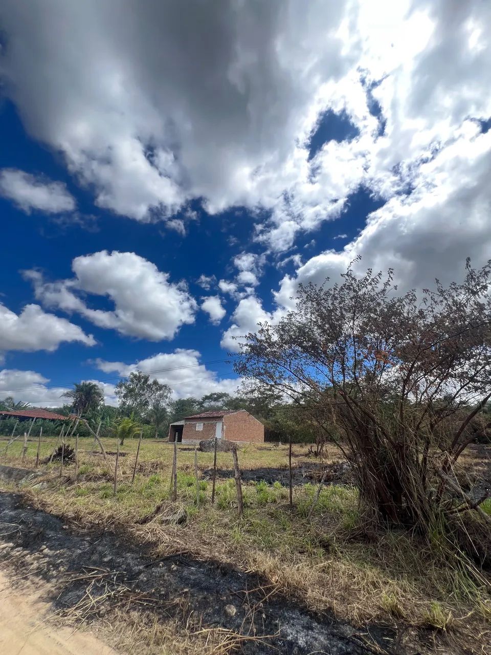 Sítio a venda em Taboquinha Belo jardim PE 
